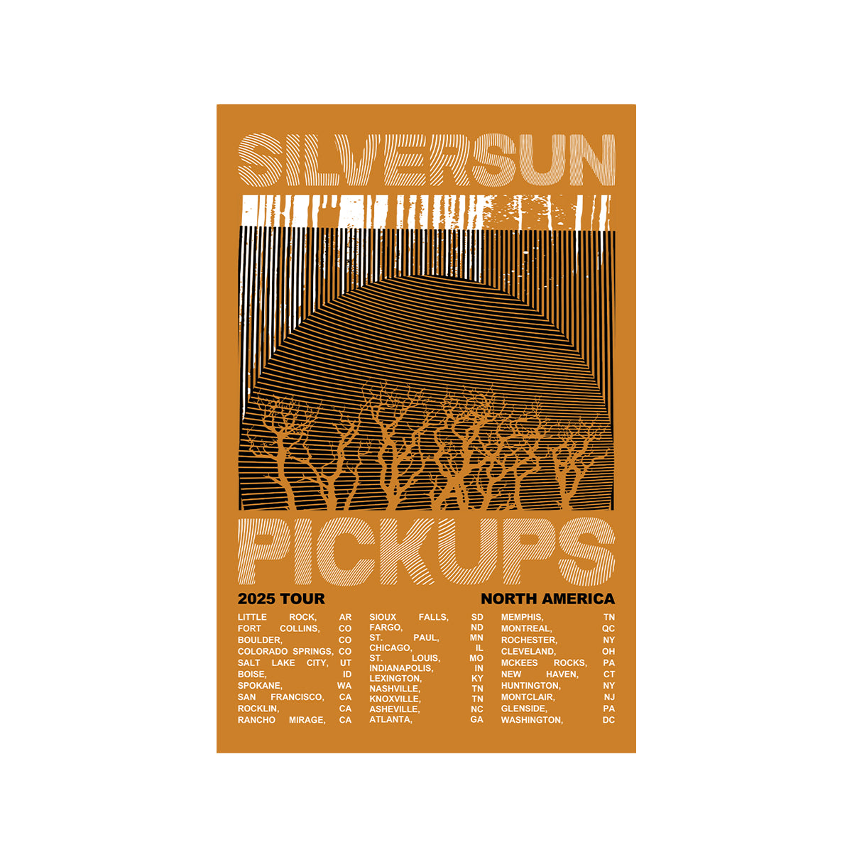 Silversun Pickups 2025 Tour Poster